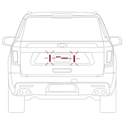 Image of License Plate Area